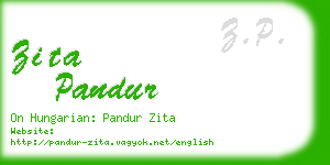 zita pandur business card